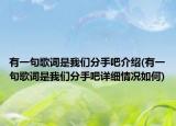 有一句歌词是我们分手吧介绍(有一句歌词是我们分手吧详细情况如何)