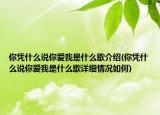 你凭什么说你爱我是什么歌介绍(你凭什么说你爱我是什么歌详细情况如何)