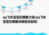 qq飞车宝宝在哪里介绍(qq飞车宝宝在哪里详细情况如何)