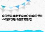 魔兽世界dk新手攻略介绍(魔兽世界dk新手攻略详细情况如何)