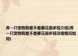 养一只宠物狗是不是要花很多钱介绍(养一只宠物狗是不是要花很多钱详细情况如何)