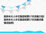 森林冰火人中文版游戏第17关攻略介绍(森林冰火人中文版游戏第17关攻略详细情况如何)
