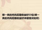 哪一类的肉鸡后期收益好介绍(哪一类的肉鸡后期收益好详细情况如何)