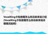 VocalKing卡包音箱怎么样总体来说介绍(VocalKing卡包音箱怎么样总体来说详细情况如何)