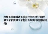 水果玉米和普通玉米有什么区别介绍(水果玉米和普通玉米有什么区别详细情况如何)
