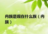 冉族是现在什么族（冉族）