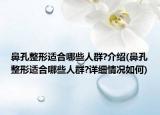 鼻孔整形适合哪些人群?介绍(鼻孔整形适合哪些人群?详细情况如何)