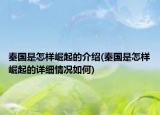 秦国是怎样崛起的介绍(秦国是怎样崛起的详细情况如何)