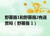 野蔷薇1和野蔷薇2有连贯吗（野蔷薇 1）