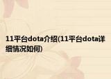 11平台dota介绍(11平台dota详细情况如何)
