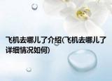 飞机去哪儿了介绍(飞机去哪儿了详细情况如何)