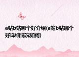 a站b站哪个好介绍(a站b站哪个好详细情况如何)