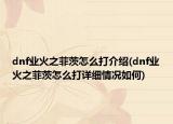 dnf业火之菲茨怎么打介绍(dnf业火之菲茨怎么打详细情况如何)