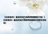 《白夜追凶》是如何成为爆款网络剧的介绍(《白夜追凶》是如何成为爆款网络剧的详细情况如何)