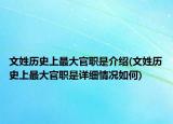 文姓历史上最大官职是介绍(文姓历史上最大官职是详细情况如何)