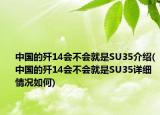 中国的歼14会不会就是SU35介绍(中国的歼14会不会就是SU35详细情况如何)