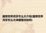 魔兽世界月牙怎么大介绍(魔兽世界月牙怎么大详细情况如何)