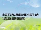 小霸王1合1游戏介绍(小霸王1合1游戏详细情况如何)