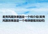 麦克风跟效果器是一个吗介绍(麦克风跟效果器是一个吗详细情况如何)
