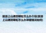 旅游上山遇到蟒蛇怎么办介绍(旅游上山遇到蟒蛇怎么办详细情况如何)