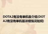 DOTA2有没有单机版介绍(DOTA2有没有单机版详细情况如何)