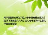 鸡下蛋的意义只为了给人吃吗(还有什么意义介绍 鸡下蛋的意义只为了给人吃吗 还有什么意义详细情况如何)