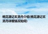 桃花源记玄灵丹介绍(桃花源记玄灵丹详细情况如何)