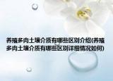 养殖多肉土壤介质有哪些区别介绍(养殖多肉土壤介质有哪些区别详细情况如何)