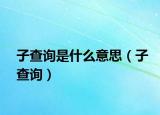 子查询是什么意思（子查询）
