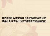 地沟油是什么油(它是什么样子的油啊介绍 地沟油是什么油 它是什么样子的油啊详细情况如何)