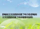 舒畅和王文泊真的恋爱了吗介绍(舒畅和王文泊真的恋爱了吗详细情况如何)