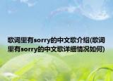 歌词里有sorry的中文歌介绍(歌词里有sorry的中文歌详细情况如何)
