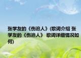 张学友的《伤追人》(歌词介绍 张学友的《伤追人》 歌词详细情况如何)