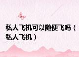 私人飞机可以随便飞吗（私人飞机）