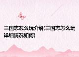 三国志怎么玩介绍(三国志怎么玩详细情况如何)