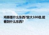 鸡眼是什么东西?放大100倍,能看到什么东西?