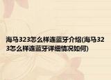 海马323怎么样连蓝牙介绍(海马323怎么样连蓝牙详细情况如何)