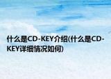 什么是CD-KEY介绍(什么是CD-KEY详细情况如何)