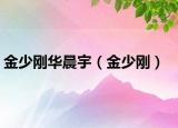 金少刚华晨宇（金少刚）