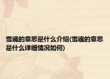 雪魂的意思是什么介绍(雪魂的意思是什么详细情况如何)