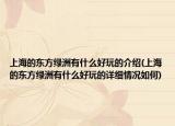 上海的东方绿洲有什么好玩的介绍(上海的东方绿洲有什么好玩的详细情况如何)