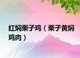 红焖栗子鸡（栗子黄焖鸡肉）