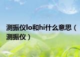 测振仪lo和hi什么意思（测振仪）