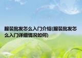 服装批发怎么入门介绍(服装批发怎么入门详细情况如何)