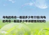 乌龟的寿命一般是多少年介绍(乌龟的寿命一般是多少年详细情况如何)