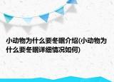 小动物为什么要冬眠介绍(小动物为什么要冬眠详细情况如何)