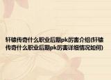 轩辕传奇什么职业后期pk厉害介绍(轩辕传奇什么职业后期pk厉害详细情况如何)