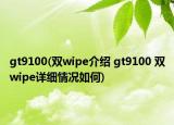 gt9100(双wipe介绍 gt9100 双wipe详细情况如何)