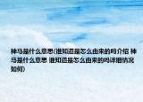 神马是什么意思(谁知道是怎么由来的吗介绍 神马是什么意思 谁知道是怎么由来的吗详细情况如何)