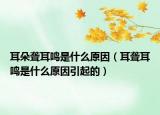 耳朵聋耳鸣是什么原因（耳聋耳鸣是什么原因引起的）